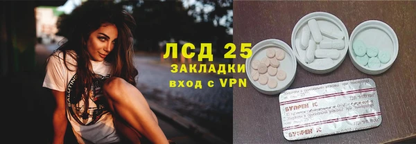 индика Лагань
