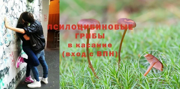 МДМА Переславль-Залесский