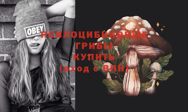 винт Пестово