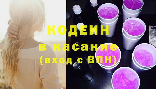 индика Лагань